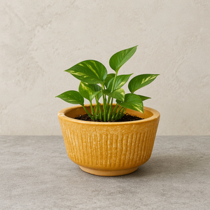 Maceta <span class=keywords><strong>de</strong></span> Cerámica con Forma <span class=keywords><strong>de</strong></span> <span class=keywords><strong>Pato</strong></span> con Lazo Rojo y Postura <span class=keywords><strong>de</strong></span> Cabeza Baja, Acabado Blanco Brillante, Decoración <span class=keywords><strong>de</strong></span> Jardín, Venta al por Mayor - Product Image 3