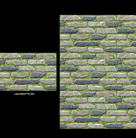 La plupart des ventes de nouveaux carreaux de mur et de sol en céramique de qualité 2022 300x450mm pour atelier et grande Villa de luxe.