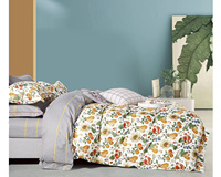 Nouveaux ensembles de housses de couette imprimées douces, ensembles de literie imprimés, ensembles de draps de lit imprimés en coton, ensembles de draps-housses imprimés