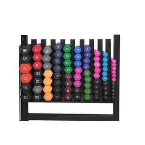 Dumbbell Set Voor Home Gym Aangepaste Kleur Gietijzeren Dumbells Dip Plastic Dumbbells Voor Vrouwen