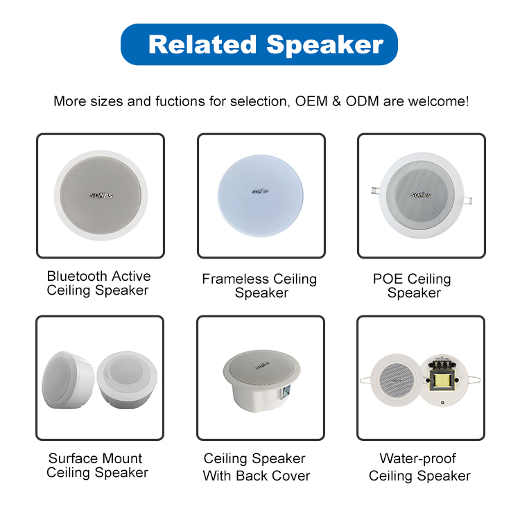 Intelligent Active 6.5 Inch Wireless Ceiling Powered Speaker Surround Sound in Ceiling Speakers bluetooth · image 3