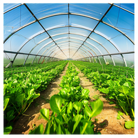 Serre tunnel en polyéthylène pour jardin et ferme, facile à assembler, fournie directement par l'usine