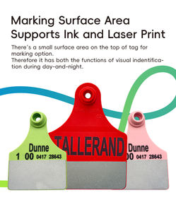 ออกแบบใหม่ 2 ชิ้นประเภทขนาดใหญ่วัวสะท้อนแสงแท็กหูสีเหลือง - Product Image 2