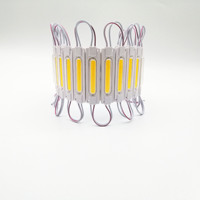 Module LED COB 24V blanc chaud 2W 3000K 7019 12V en PVC injecté IP65 avec lentille transparente pour rétroéclairage intérieur - Fournisseur chinois