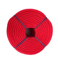 Corde torsadée en polyéthylène PE PP plastique à 3 brins/4 brins de 2 3/4/6/8/10/12 mm, corde d'amarrage, corde d'emballage, corde de pêche, corde en nylon