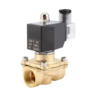 Électrovanne d'eau de contrôle de fluide de série 2W/08 2W050-10 15