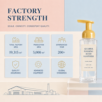 Désinfectant Mousse Anti-Bactérien à Base d'Alcool, Séchage Rapide, Écologique, Sans Eau, Hygiène des Mains en Mousse, Pompe Distributrice, Logo Personnalisé pour