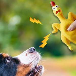 Yeni sıcak satış fabrika düşük fiyat nokta toptan diş taşlama can sıkıcı kauçuk ses oyuncak çığlık tavuk - Product Image 3