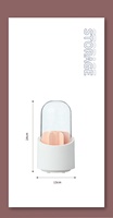 Boîte de rangement en plastique anti-poussière avec couvercle ombre à paupières et porte-stylo pinceau à sourcils pour l'organisation du maquillage
