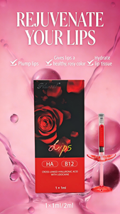 Plurvel - Bon <span class=keywords><strong>prix</strong></span> - Remplisseur de lèvres rouge 1 ml - Remplisseur dermique injectable à l'<span class=keywords><strong>acide</strong></span> <span class=keywords><strong>hyaluronique</strong></span> pour modeler les lèvres naturellement - Améliore la couleur des lèvres - Product Image 2