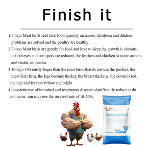 Thức ăn lớp gà khoáng <span class=keywords><strong>premix</strong></span> tập trung gia cầm phụ gia với các axit amin - Product Image 6