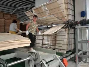 Indonesia Core board, gỗ chip Veneer máy sấy - Product Image 4