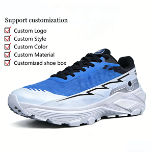 Chaussures de course et de randonnée pour hommes, personnalisées en usine, nouvelle mode, amortissantes, respirantes, en maille, avec éclairage - Product Image 1