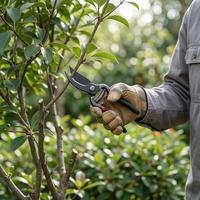 Sécatrices bypass robustes en acier SK5 longue durée, 8/10 pouces, à levier, pour l'entretien professionnel des arbres