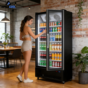 Réfrigérateur de <span class=keywords><strong>bar</strong></span> pour supermarché chinois, double porte, pour boissons - Product Image 2