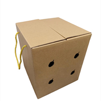 Boîtes cadeaux ondulées Durian de fruits en papier kraft avec logo personnalisé d'usine de haute qualité pour l'emballage des fruits