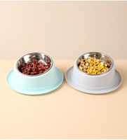 Gamelle inclinée anti-fourmis pour chat, accessoires pour animaux de compagnie, gamelle pour chien, récipient en acier inoxydable de qualité pour chats, fournitures pour animaux de compagnie