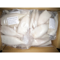 Vente en gros de tubes de calmar congelés U5 U7 U10 entiers, nettoyés, sans peau, prix d'usine