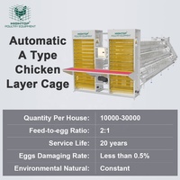 Cage à batterie de type A pour poules pondeuses, cages automatiques pour poulets, équipement d'élevage avicole pour pondeuses