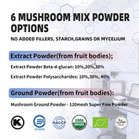 Poudre de recette OEM, capsule facile à absorber, curcuma curcumine 5%-98%, piperine noire, capsules de poudre de gingembre en vrac, prix d'usine