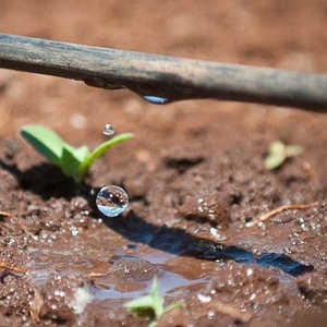 Tubo <span class=keywords><strong>per</strong></span> irrigazione a goccia in PE LDPE, in plastica PC, con imballaggio a rotolo, <span class=keywords><strong>per</strong></span> giardinaggio e agricoltura - Modello Tubo <span class=keywords><strong>per</strong></span> irrigazione - Product Image 3