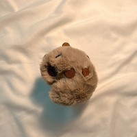 Housse de protection en peluche mignonne Capybara pour Pods, housse pour écouteurs, 2e et 3e générations
