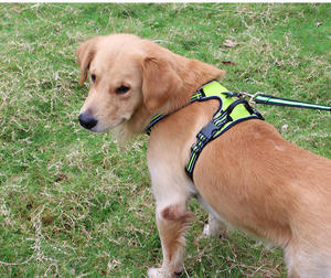 <span class=keywords><strong>Correa</strong></span> de nailon Oxford con <span class=keywords><strong>doble</strong></span> <span class=keywords><strong>correa</strong></span> <span class=keywords><strong>para</strong></span> el pecho <span class=keywords><strong>para</strong></span> <span class=keywords><strong>perros</strong></span> <span class=keywords><strong>pequeños</strong></span> y medianos, productos reflectantes <span class=keywords><strong>para</strong></span> mascotas <span class=keywords><strong>para</strong></span> una mejor visibilidad, <span class=keywords><strong>correa</strong></span> <span class=keywords><strong>para</strong></span> el pecho <span class=keywords><strong>para</strong></span> <span class=keywords><strong>perros</strong></span> - Product Image 1