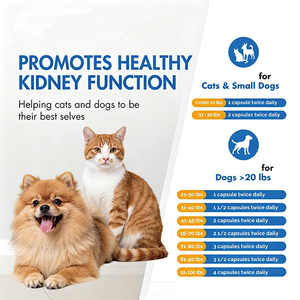 Formule rénale brevetée avancée pour chats et petits chiens – 60 capsules pour soutenir la fonction rénale normale à l'âge avancé - Product Image 4