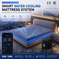 Surmatelas rafraîchissant à double zone OEM avec système de contrôle climatique intelligent pour lits Queen et King