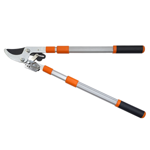 Cortador de derivación de trinquete profesional () para herramienta manual de jardín de poda de ramas altas - Product Image 2