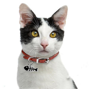 Collar con Placa de Identificación Original del Fabricante para Perros y Gatos, Accesorios de Joyería con Colgante de <span class=keywords><strong>Esqueleto</strong></span> de Pez para Mascotas - Product Image 3