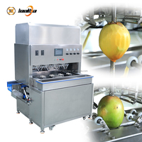 Fruit Schilmachine Mango Pompoen Watermeloen Taro Papaya Grapefruit Schilmachine Mango Schilmachine