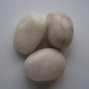Galets et pavés blancs en <span class=keywords><strong>pierre</strong></span> naturelle hautement polis pour usage <span class=keywords><strong>extérieur</strong></span> de villa, respectueux de l'environnement - Product Image 5