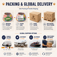 Bavoir pour chien brodé personnalisé avec motif de dessin animé, bandana réglable à bouton-pression, écharpe appliquée, logo personnalisé, cadeau promotionnel pour animaux de compagnie