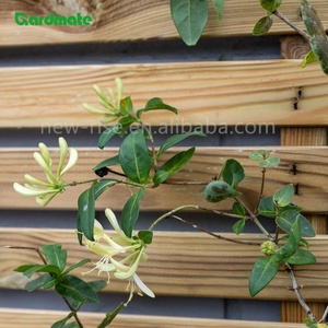 Recinzione Orizzontale a Strisce <span class=keywords><strong>per</strong></span> Giardino, Pannelli <span class=keywords><strong>per</strong></span> Recinzione da Giardino, Traliccio in Legno Ecologico Facile da Montare <span class=keywords><strong>per</strong></span> Cortile, Balcone, Muro - Product Image 3
