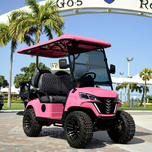 Voiture de golf à essence à bas <span class=keywords><strong>prix</strong></span> à vendre, 2, <span class=keywords><strong>4</strong></span>, 6, 8 places, voiture de golf tout-terrain pour le tourisme en club, 8 places - Product Image 2