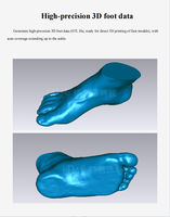Scanner 3D de pieds de haute technologie, instrument de mesure laser, dispositif de correspondance optique des dimensions pour les centres de recherche et développement de chaussures