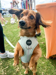 Diseñador personalizado de lujo cachorro Correa <span class=keywords><strong>Collar</strong></span> ajustable Reversible transpirable neopreno perro arnés conjuntos - Product Image 5