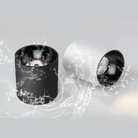 Projecteur monté en surface étanche IP65 vente en gros Spot lampe 10W 15W 20W 30W 40W 60W LED de plafond COB Downlight