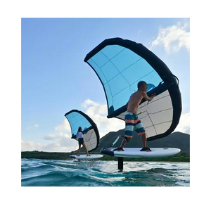 Nước Thể Thao Cầm Tay Lướt Sóng Cánh Lá Inflatable <span class=keywords><strong>Sail</strong></span> Diều 3M/4M/5M/6M Ban Kitesurf Kitewing Windsurf Trung Quốc Diều Lướt Sóng - Product Image 1