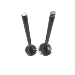 <span class=keywords><strong>4d94</strong></span> इंजन वाल्व 6136-41-4110 6136-41-4210 कोमात्सु इंजन भागों के लिए उपयुक्त - Product Image 1