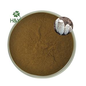 Hongo <span class=keywords><strong>Coprinus</strong></span> Comatus Natural al por Mayor, Buen Precio, Extracto de <span class=keywords><strong>Coprinus</strong></span> Comatus - Product Image 3