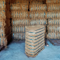 Fibre de coco en gros - ignifuge et résistante aux produits chimiques pour le filage et les fermes, matériau naturel en stock et livraison rapide