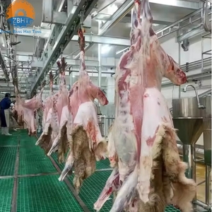 Línea de Sacrificio Automática <span class=keywords><strong>Halal</strong></span> para Ovejas y Cabras, Maquinaria de Matadero de Corderos de Acero Inoxidable, Cumple con los Estándares Globales de Sacrificio Islámico - Product Image 1