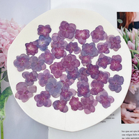 Segnalibro con Fiori Essiccati di Ortensia Doppia in Rilievo, Decorazione per il Viso con Fiori Essiccati, Herbarium