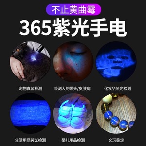 Lámpara de inspección portátil Baifeng UV LED de 365 nm para detección de residuos de alimentos y monedas falsas - Product Image 5