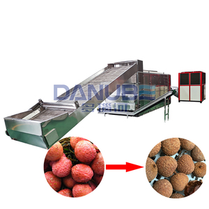 High Effective Mesh Belt Dryer Fruit Drying Machine Litchi Cleaning and Slicing Drying Line Litchi Dehydration Machine - Product Image 1