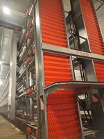 Cages à poules pondeuses en batterie durables pour l'élevage automatique de volailles à œufs de type H