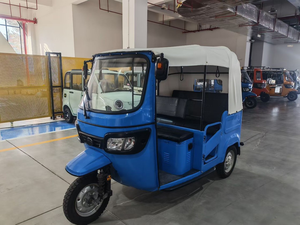 Tricycle électrique à toit en acier à deux places, plusieurs couleurs disponibles - Product Image 3