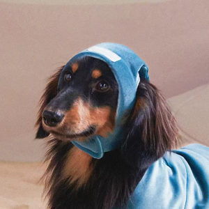 Designer Dog passt Haustier Kleidung Zubehör Niedliche bequeme umwelt freundliche Samt hüte Geeignet für Dackel Winter Weihnachts mützen - Product Image 4